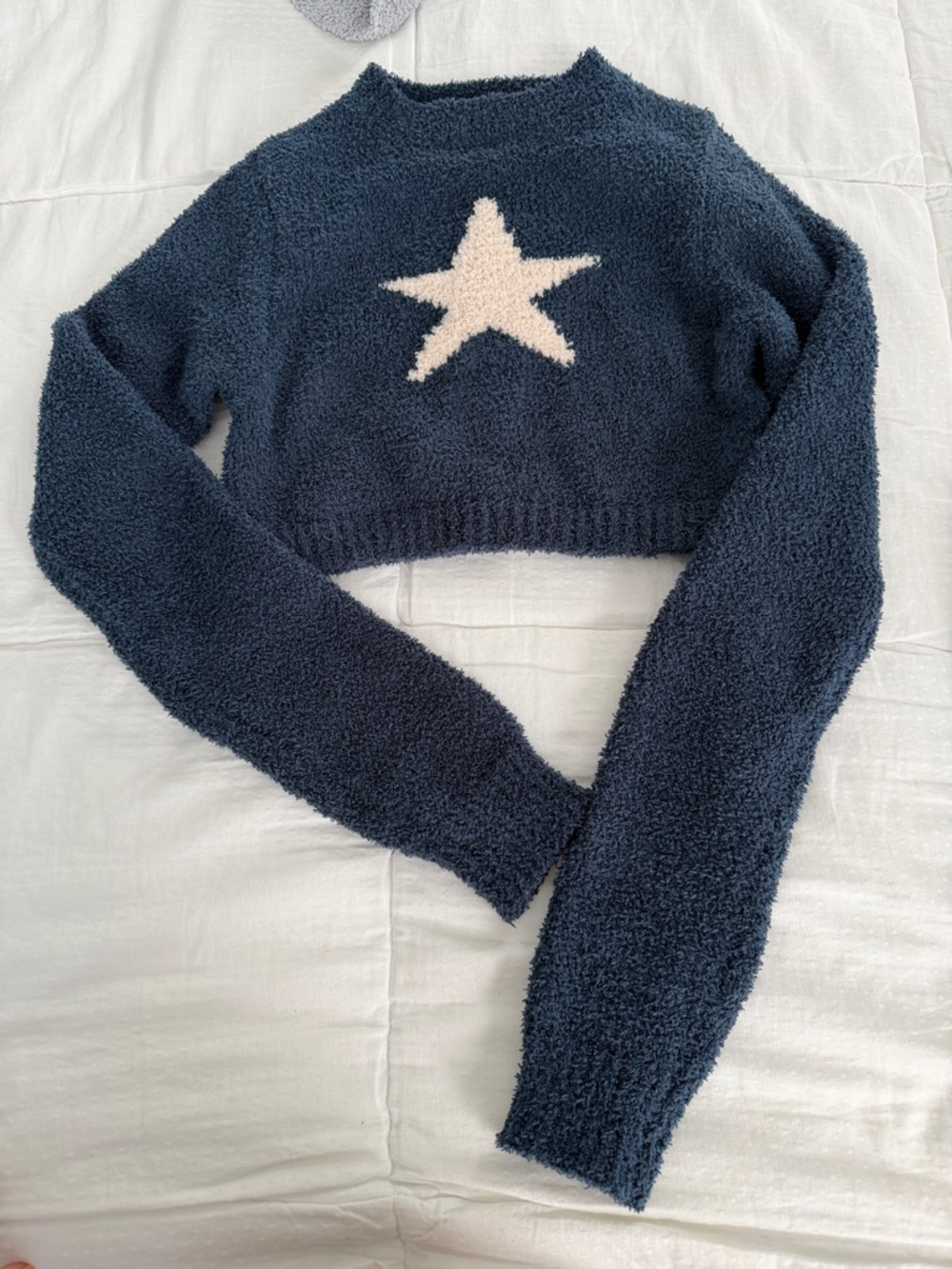 edikted Star Cropped Fuzzy Sweater - Women